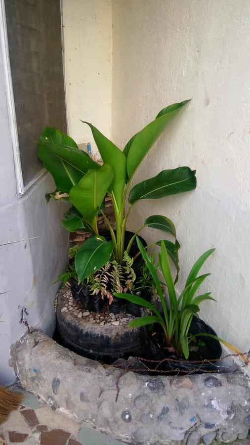 Bed and Breakfast Open Doors Haven Tagbilaran Exterior foto